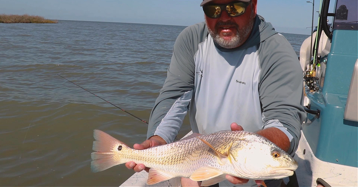 http://secret%20bait%20to%20catch%20BIG%20redfish