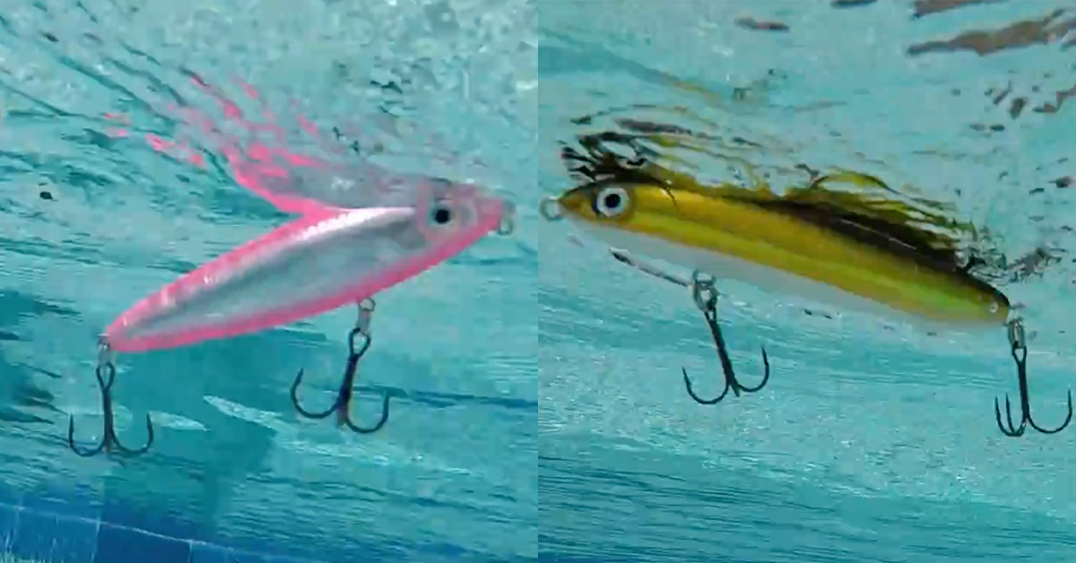 http://rapala%20skitter%20walk%20vs%20rapala%20skitter%20v