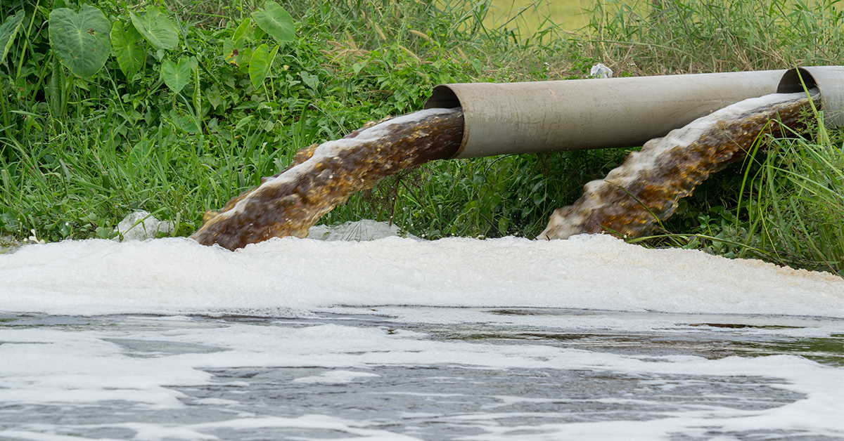 Water Pollution leads to red tide