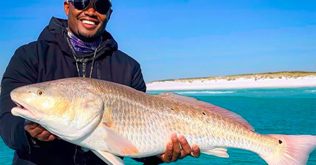 lions tale adventures redfish