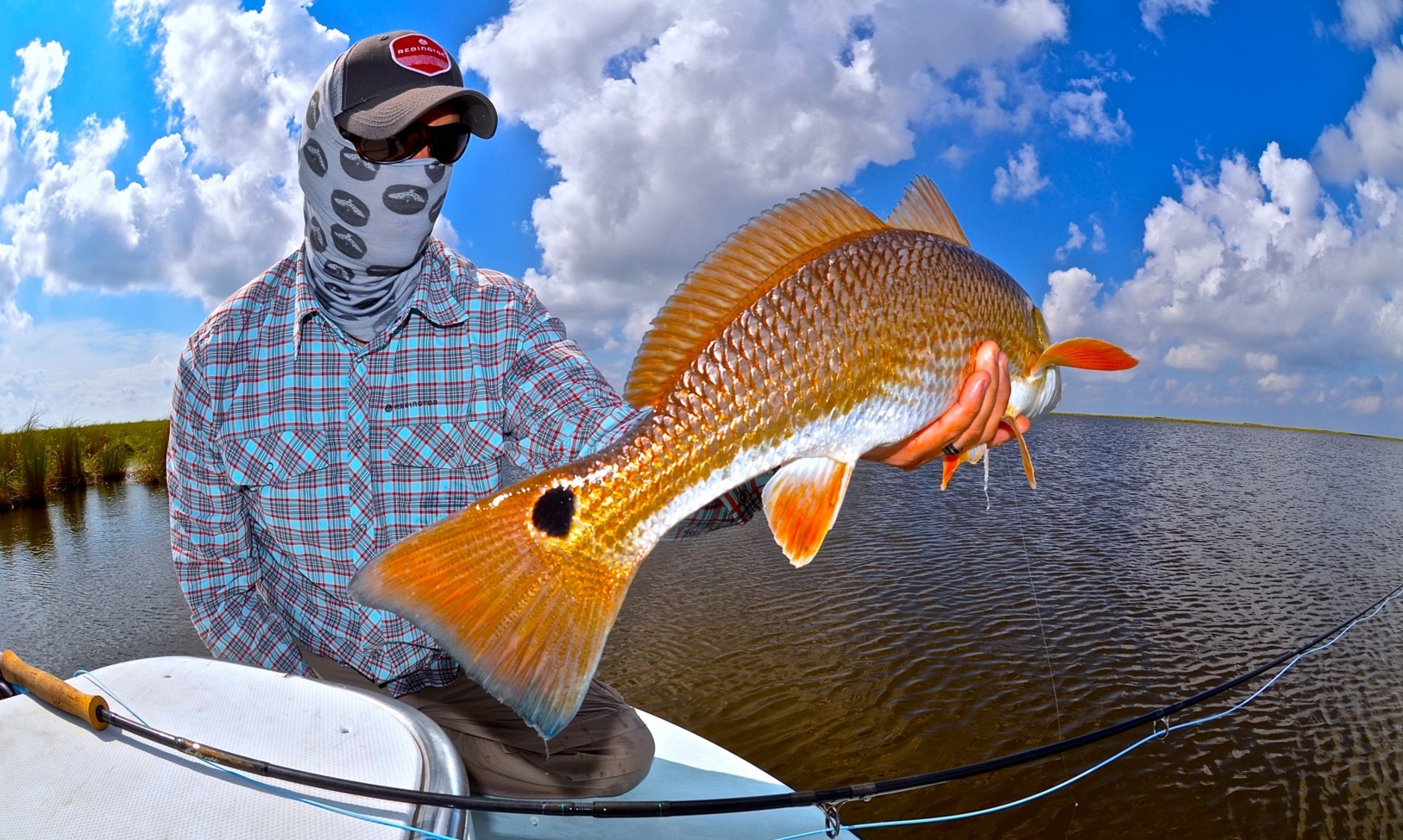http://salt%20strong%20redfish%20quiz