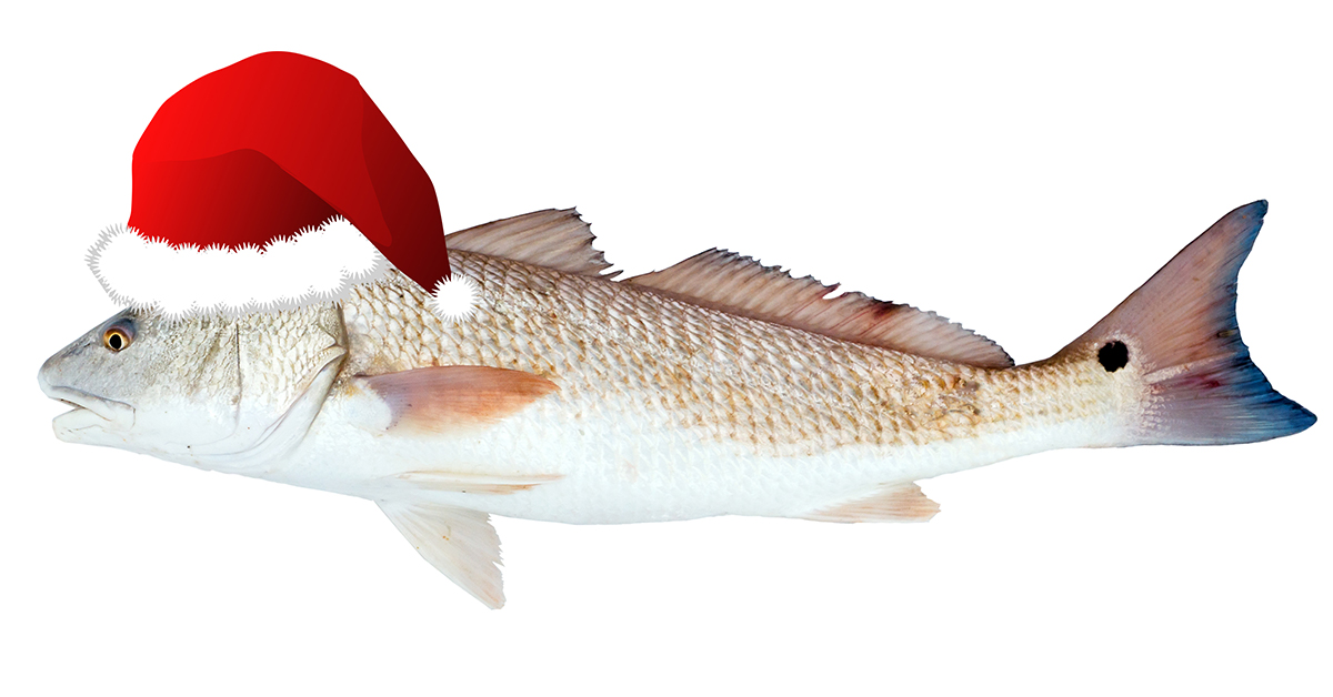http://redfish%20christmas