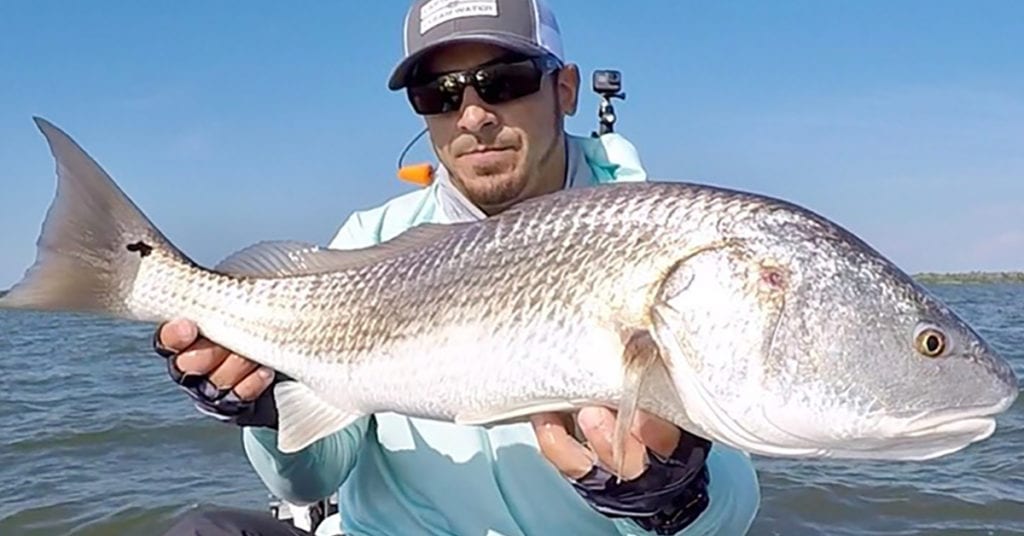 how to catch redfish on cut bait
