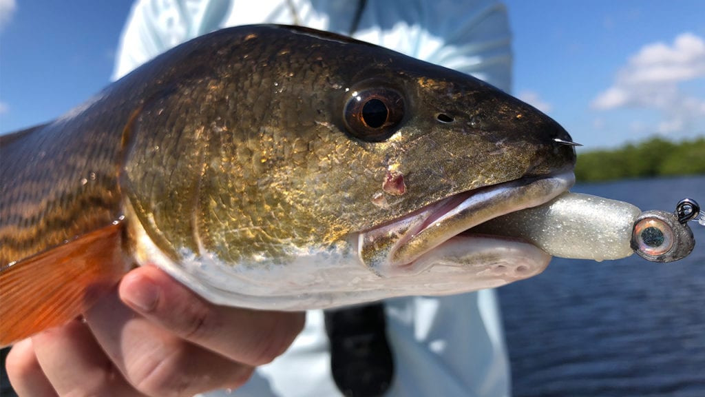 best fishing lures for redfish