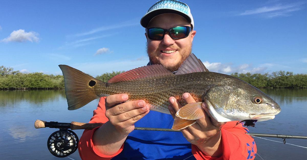 http://mosquito%20lagoon%20redfish