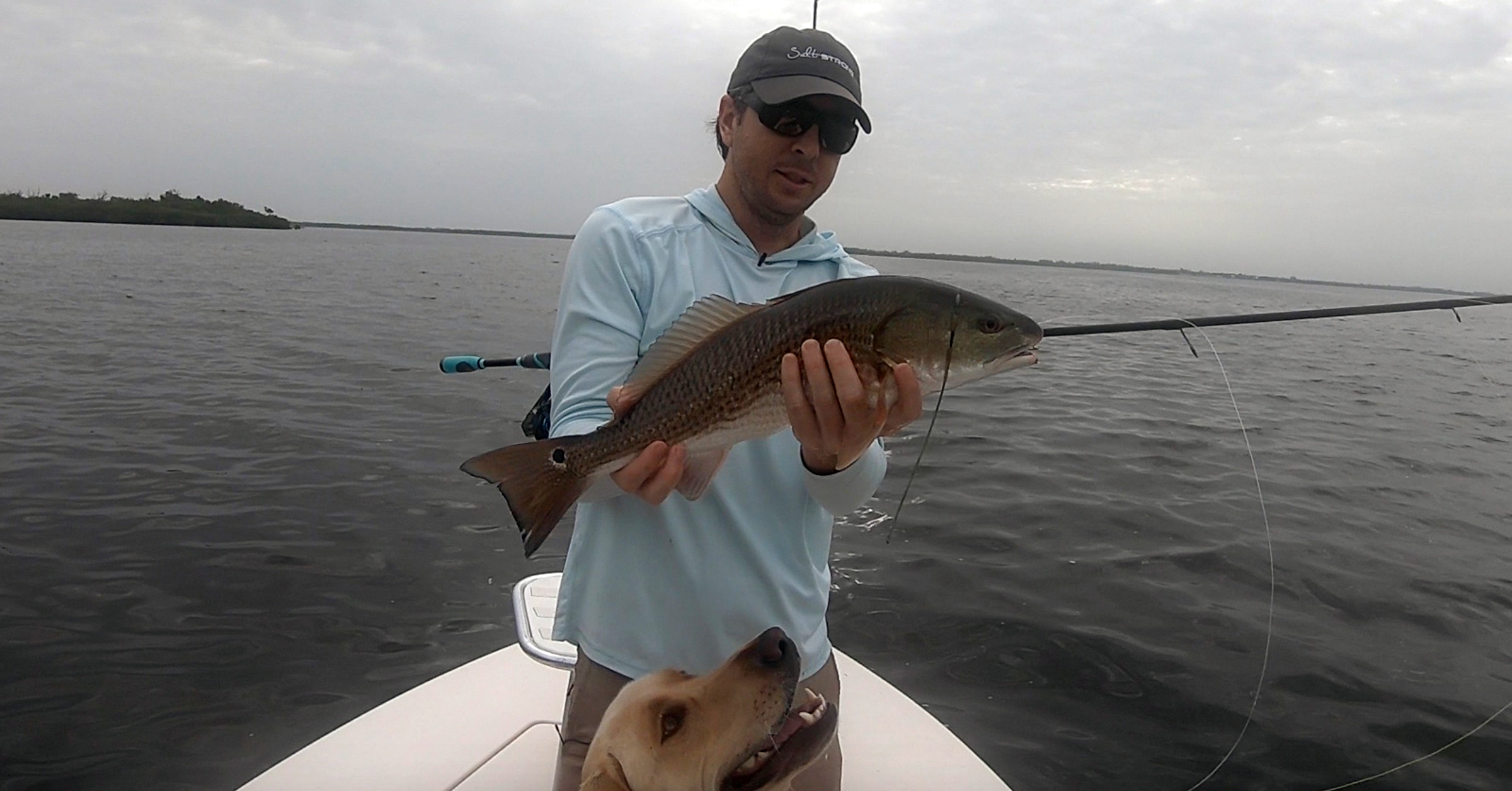redfish on gold spoon