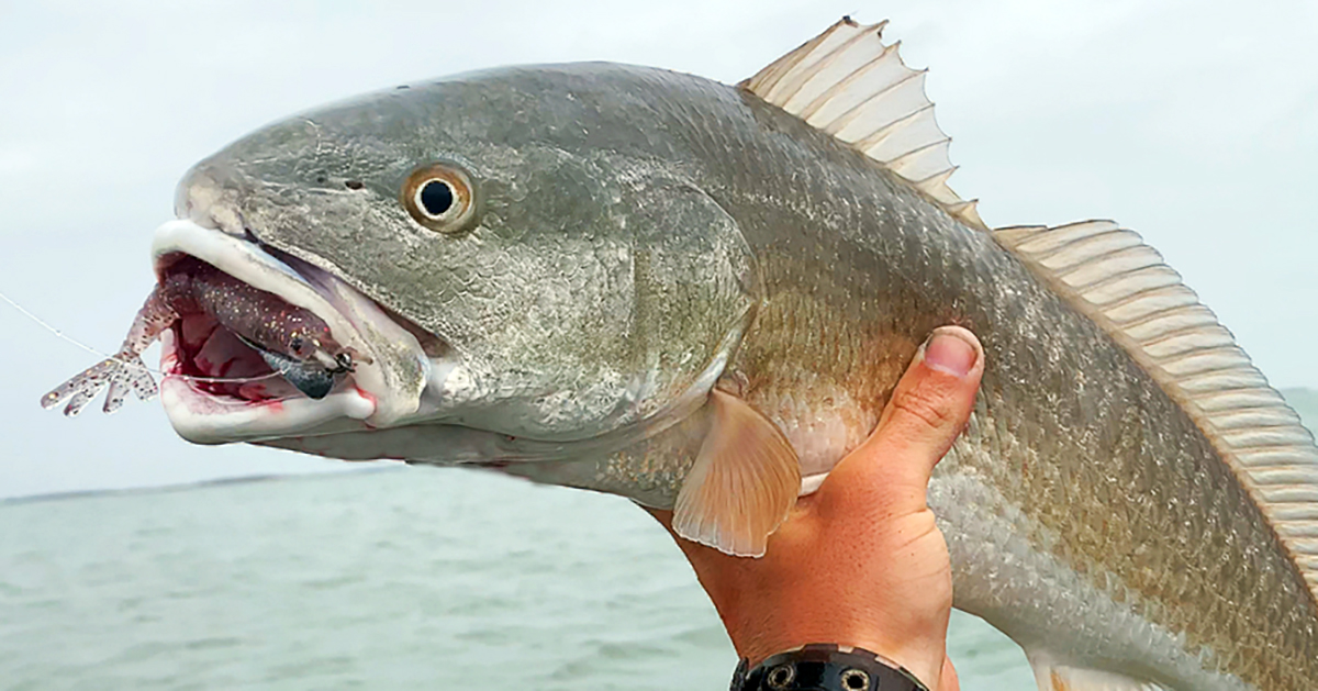 http://catching%20redfish%20around%20rocks