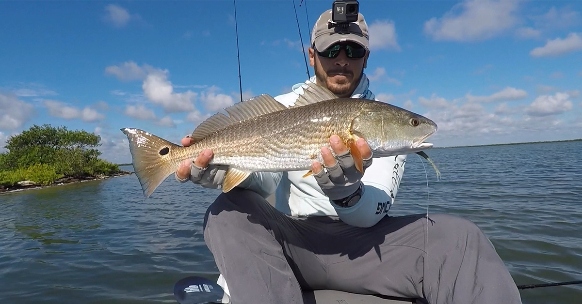 mosquito lagoon redfish sightcasting