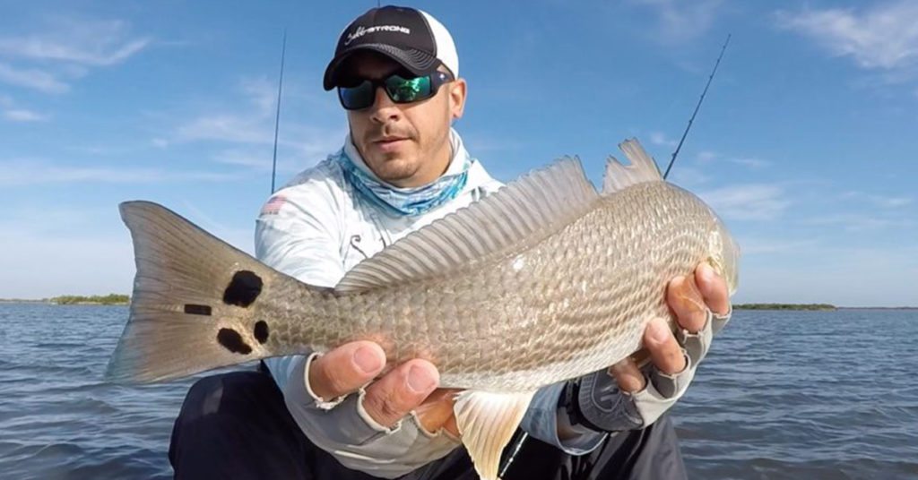 four spot redfish