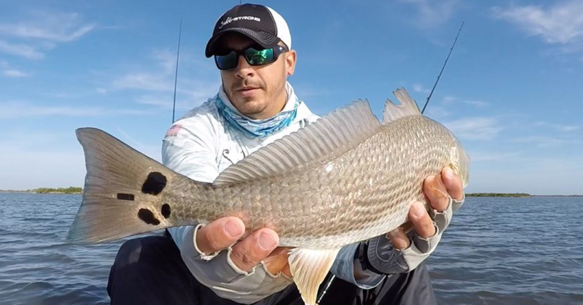 four spot redfish