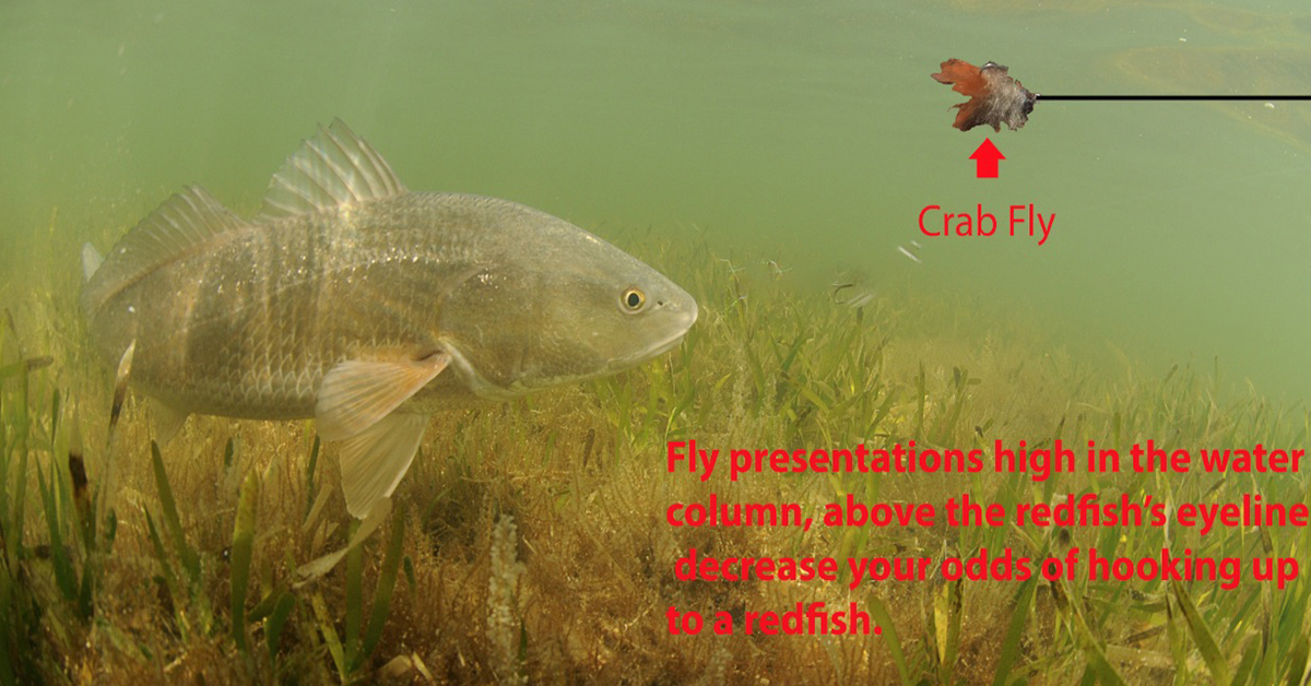 Fly Fishing for Redfish