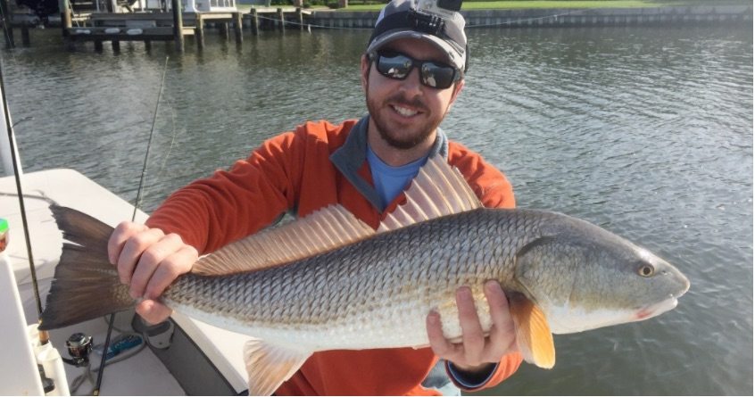 redfish under dock