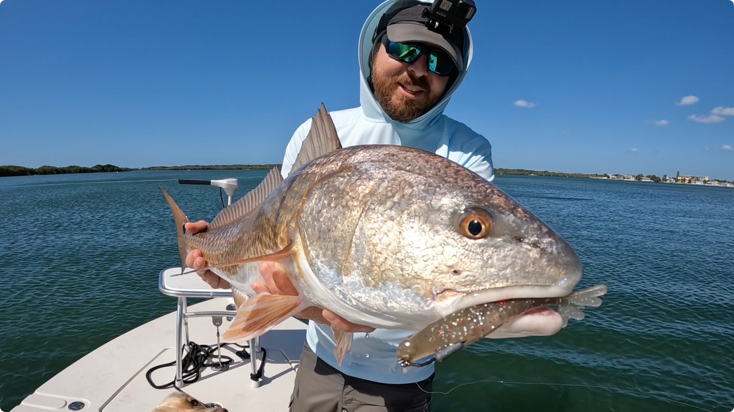 http://power%20prawn%20usa%20for%20redfish