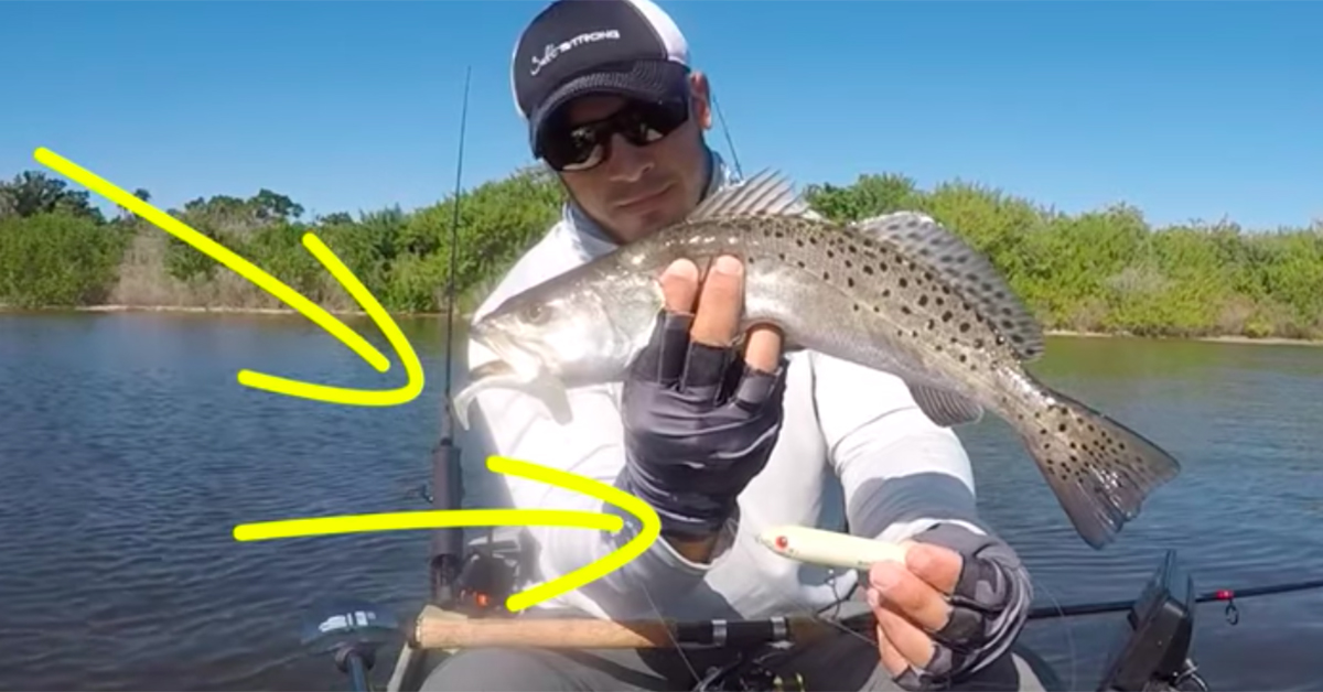 topwater lure as popping cork