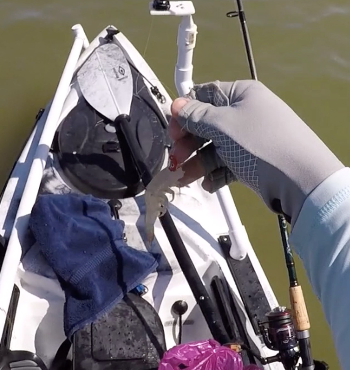 how to rig a dead shrimp