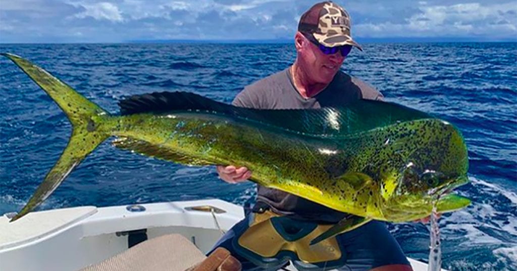 capt rob fordyce interview