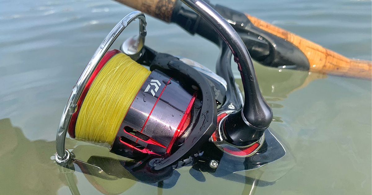 http://saltwater%20spinning%20reel
