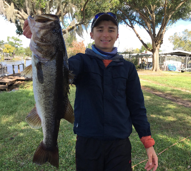 shaky head worm bass