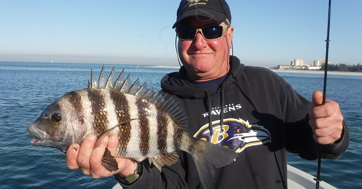 sheepshead fishing in the winter