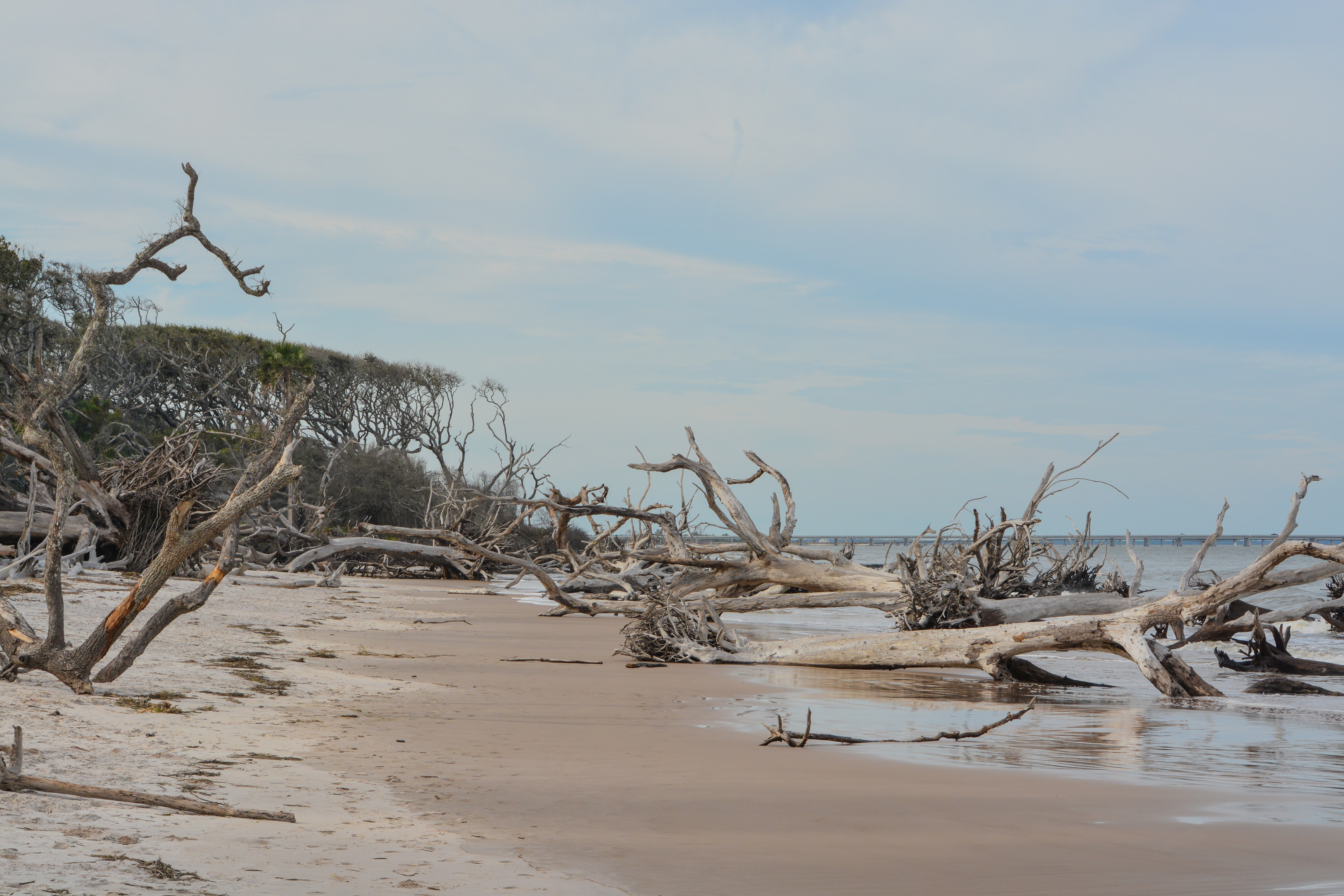 big talbot island state park fishing