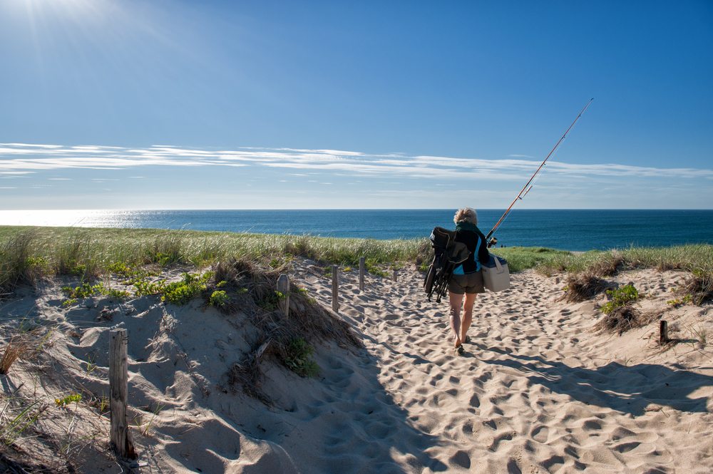 cape cod fishing