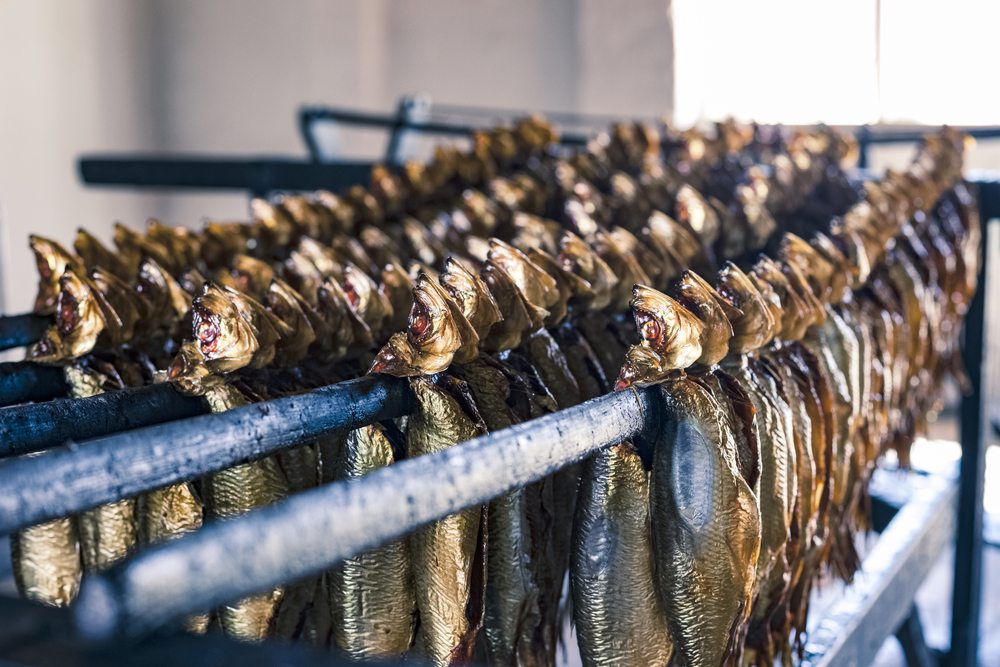 smoked fish dip recipes