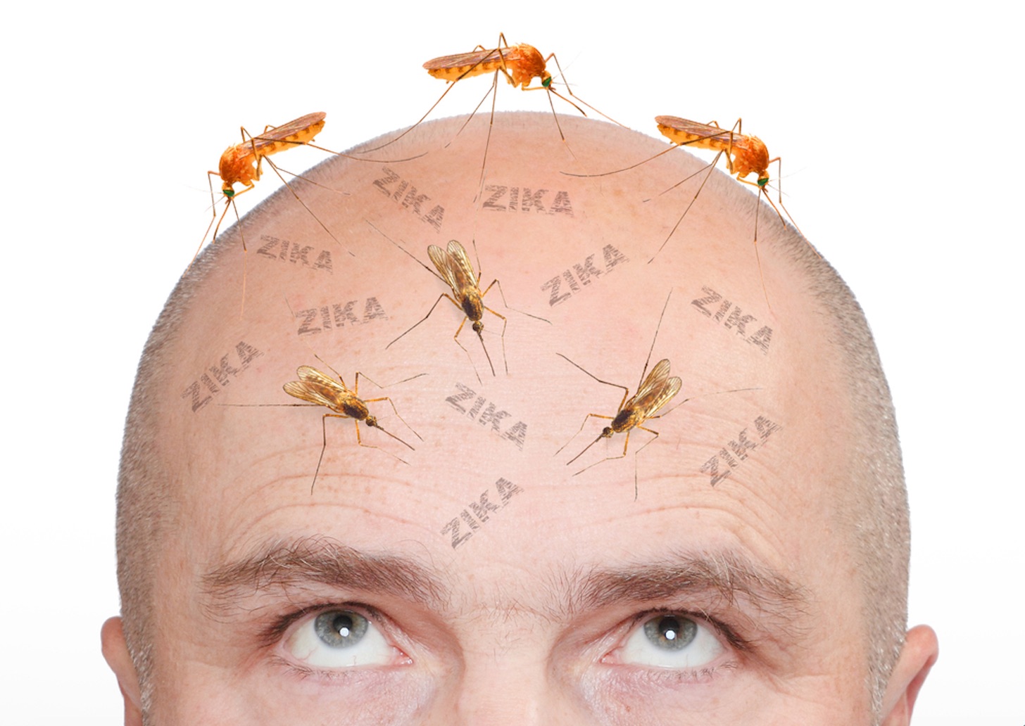 why do mosquitoes bite people