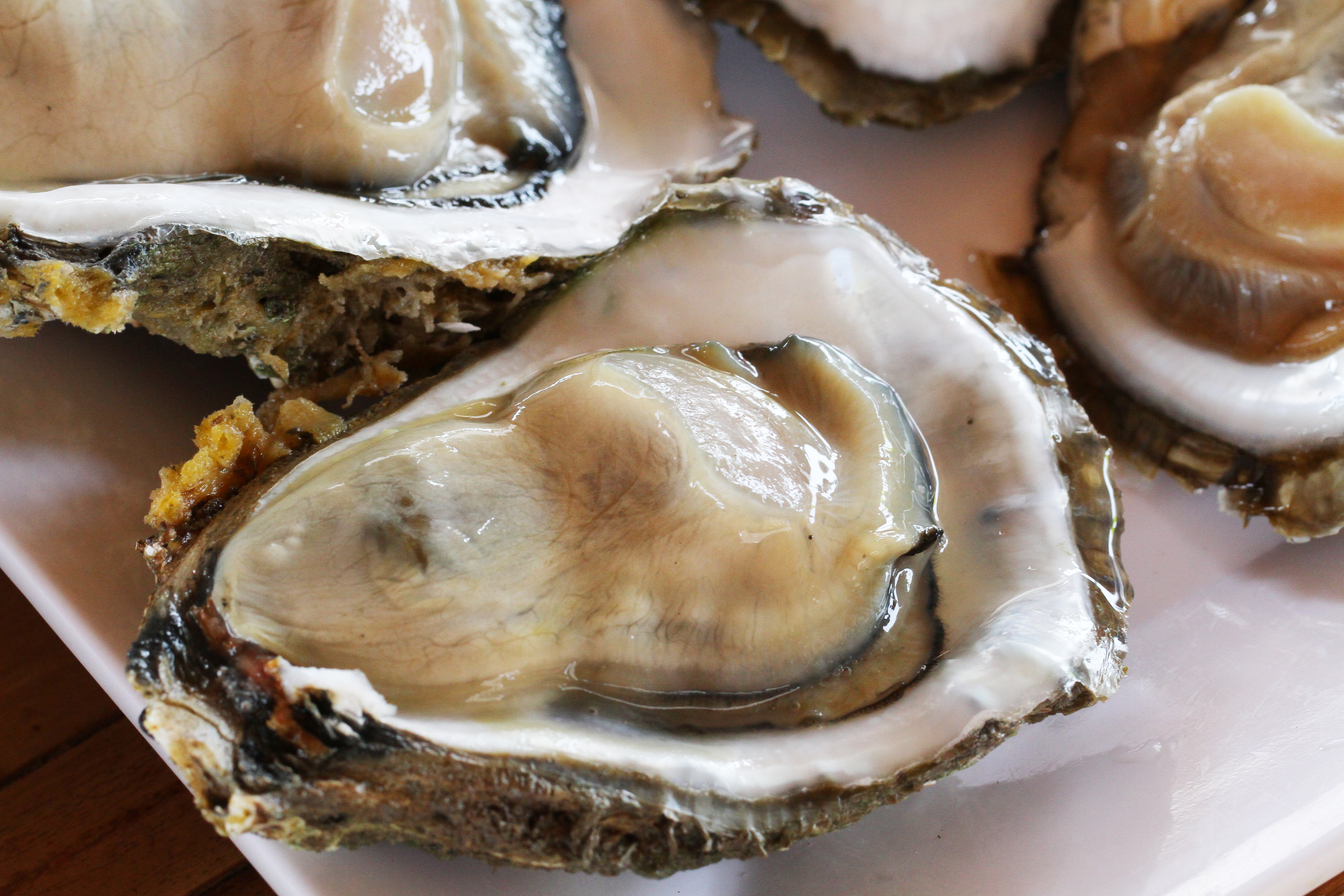 raw oyster 