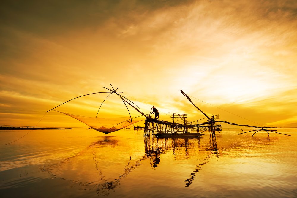 is fishing a reel sport