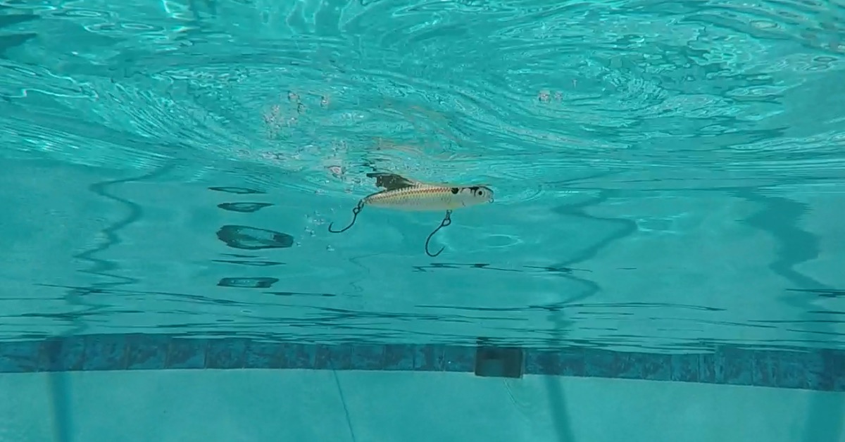 Rapala Skitter Walk underwater