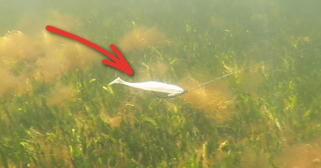 slam shady 2.0 trout attack