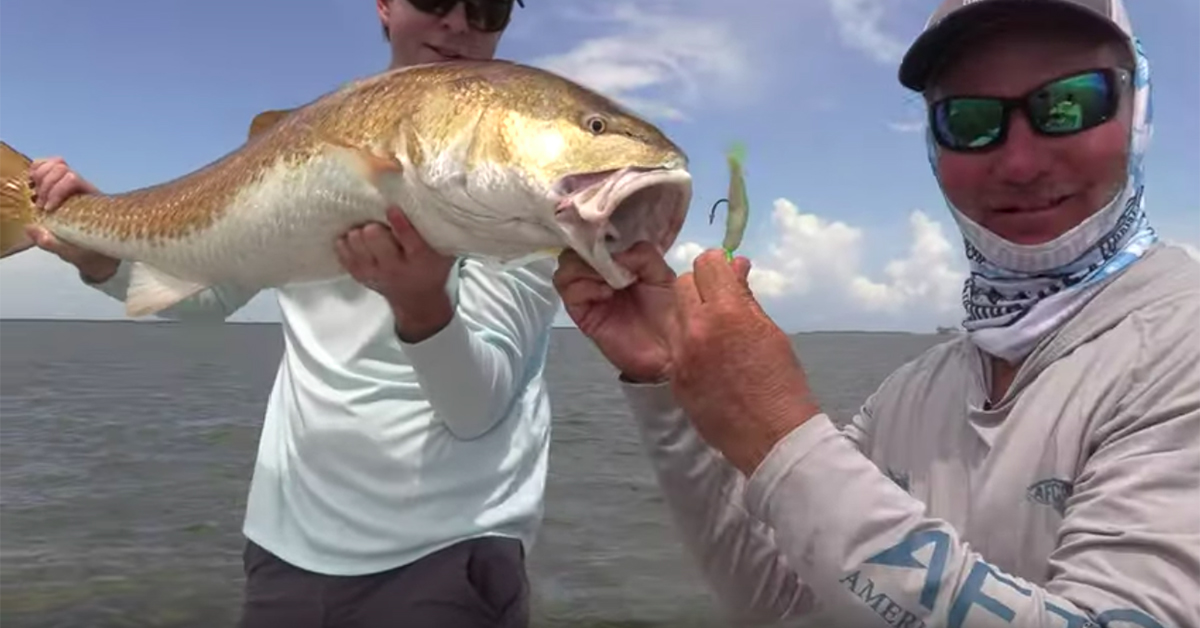 http://bull%20redfish%20in%20louisiana