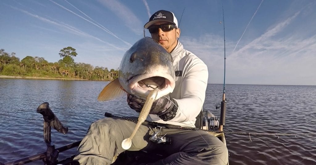 redfish on slam shady paddletail