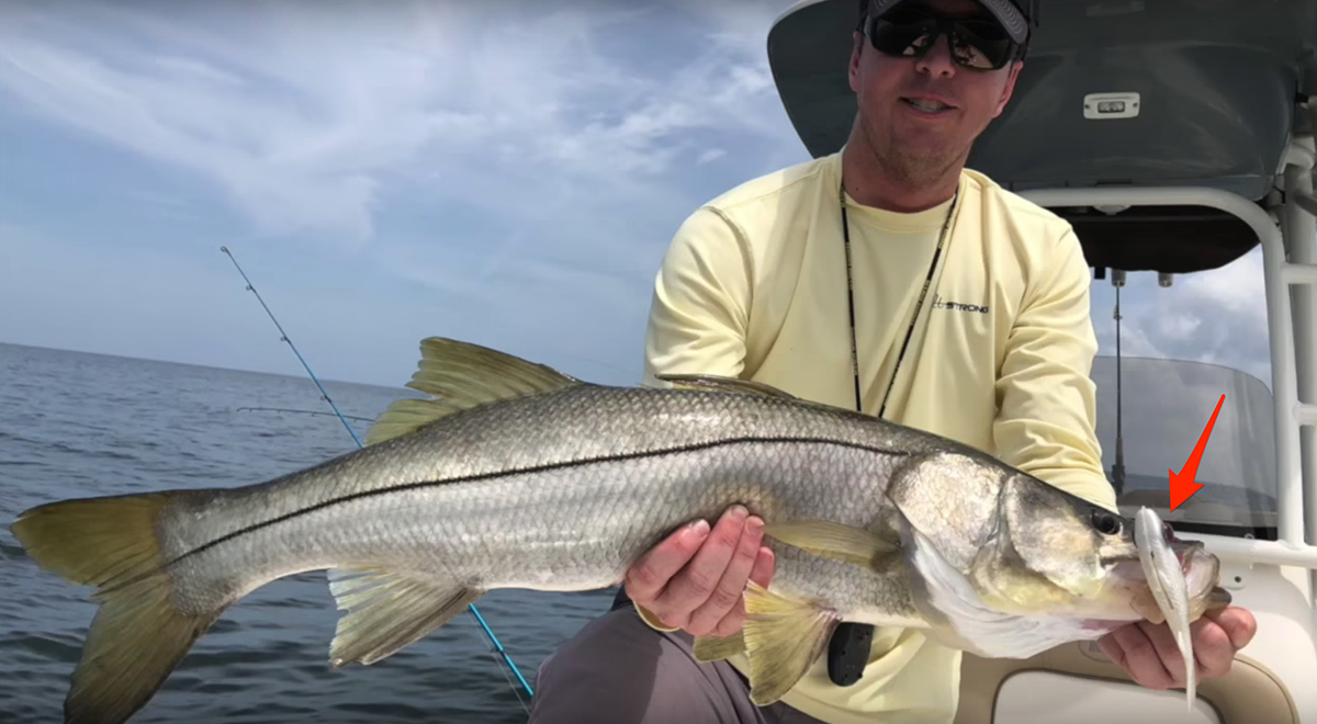 D.O.A. Swimmin' Mullet Pros and Cons