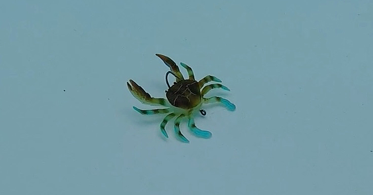 Pros and Cons of SMASH CRAB JNR