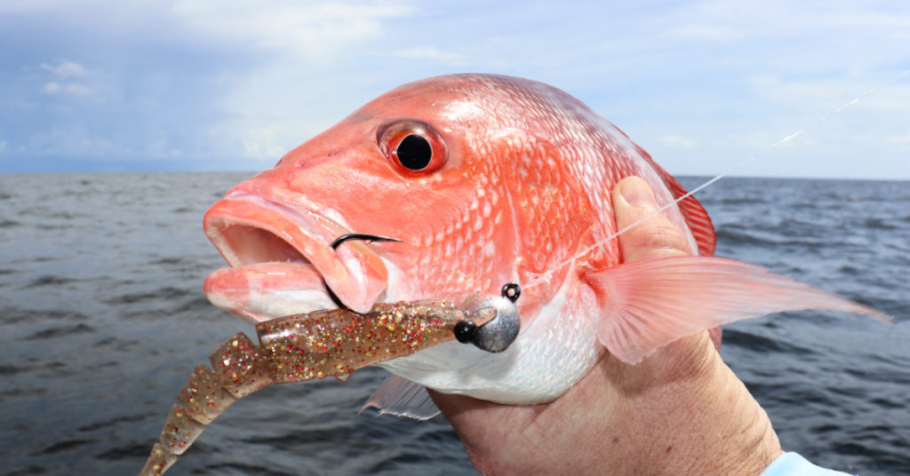 best ways to use the power prawn