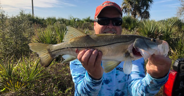 snook fishing in creeks