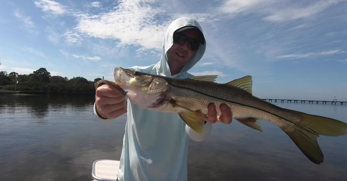 pre tournament fishing snook