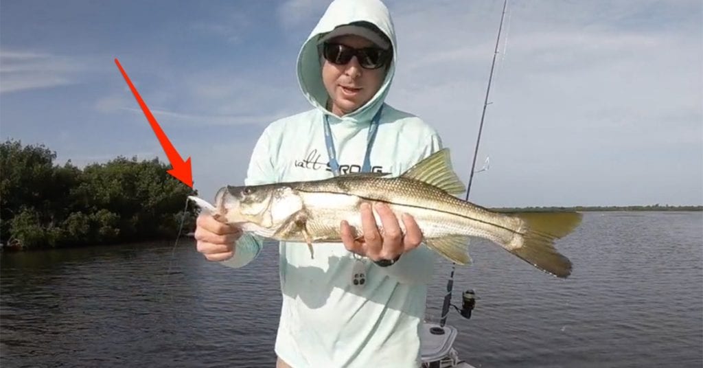 snook spoon