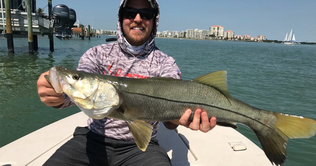 joe simonds salt strong