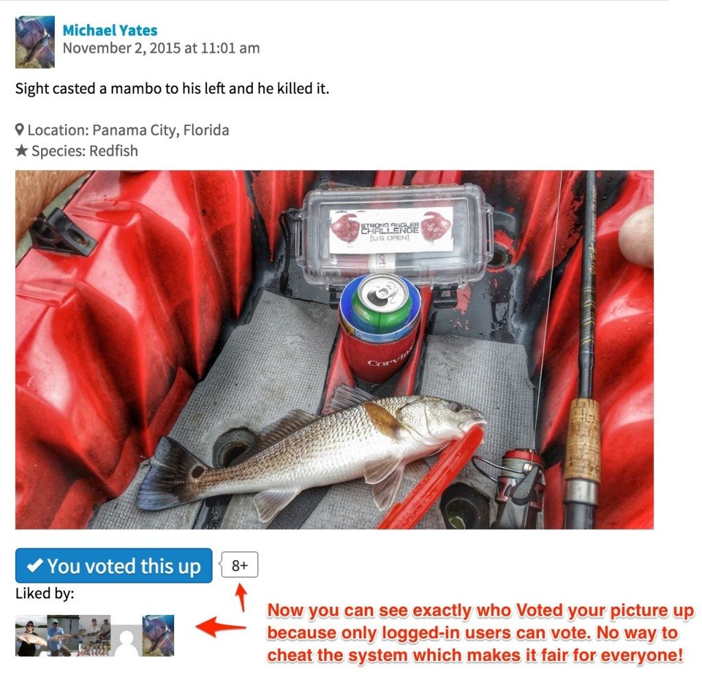 free online fishing tournament