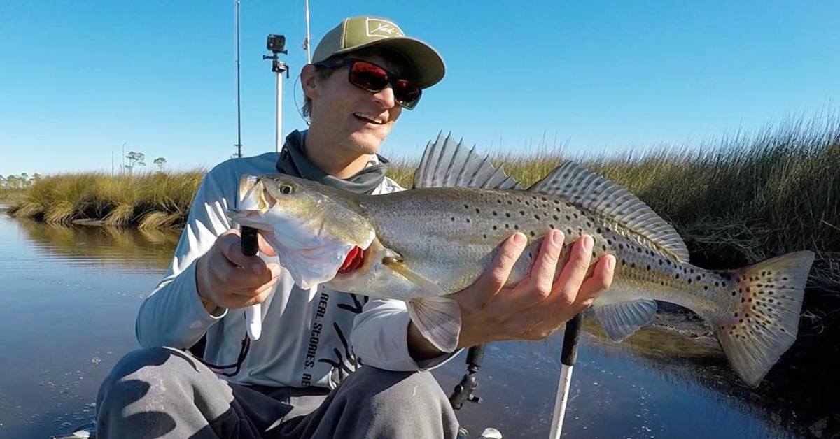 trout in the salt marsh