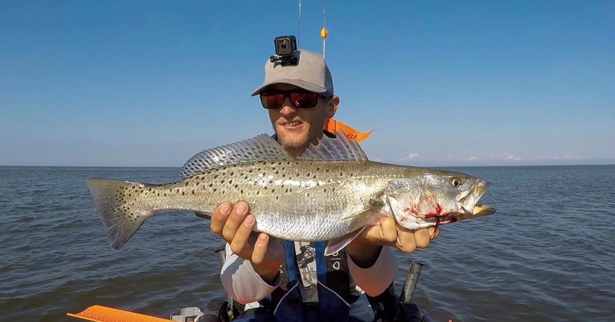 gator trout in the surf