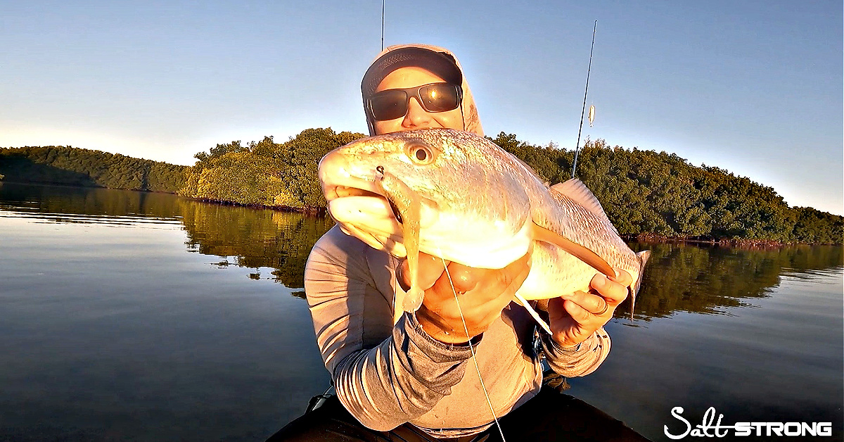 http://tailing%20redfish%20everywhere