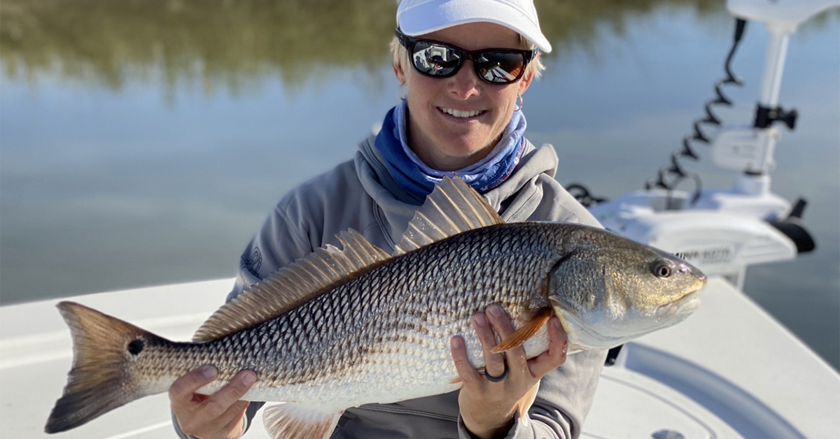 salt strong newsletter