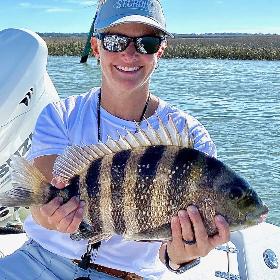charleston south carolina sheepshead