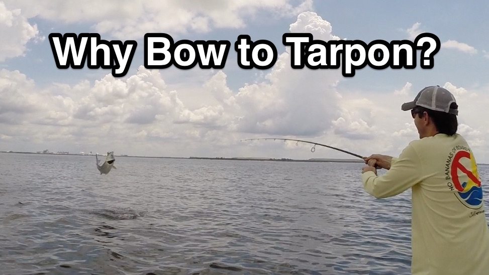 http://tarpon%20fishing%20tip