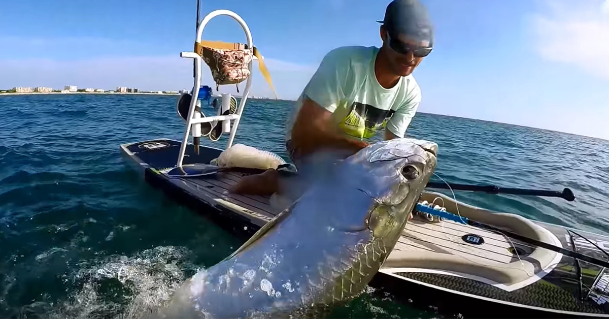 http://how%20to%20catch%20beach%20tarpon