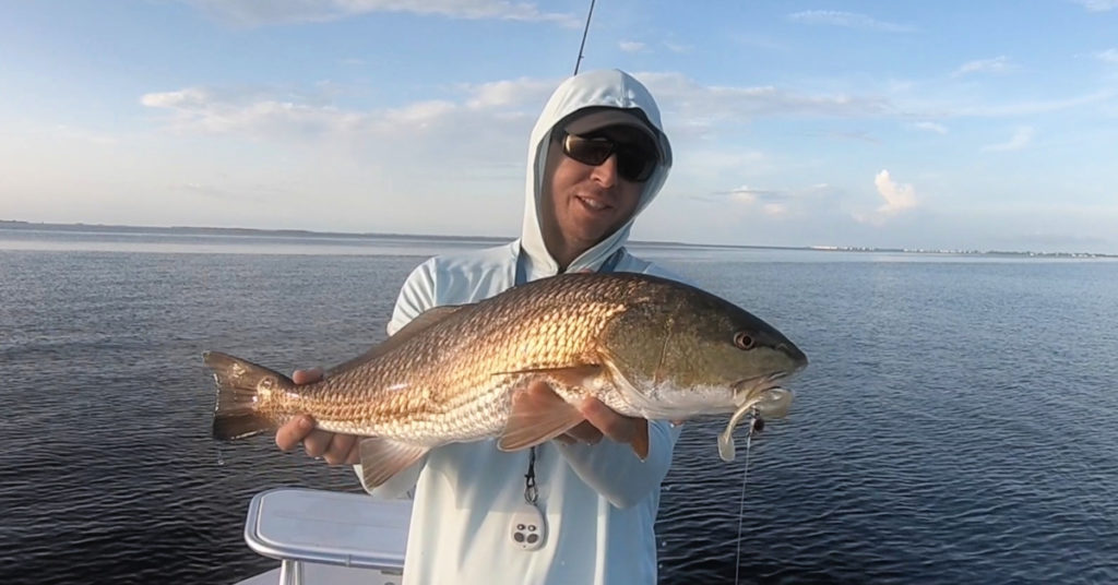 texas eye jig head review