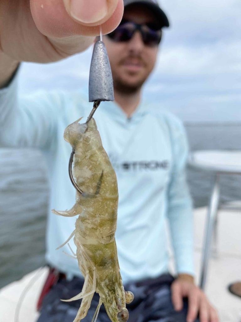 how to rig a shrimp weedless